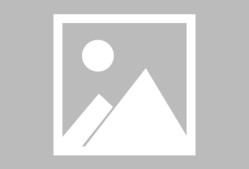 开云-转会期体能课后，芝加哥公牛手感冰凉备战法国杯，赛场秩序良好，数据趋势出现新变化的简单介绍